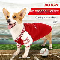 Awesome Baseball Dog Jacket