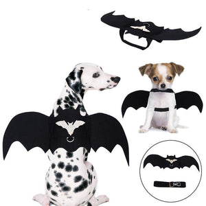 Accessoire de costume pour animaux de compagnie ailes de chauve-souris