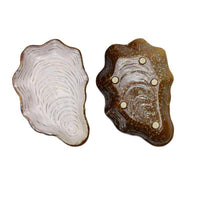 Platos en forma de concha de ostra
