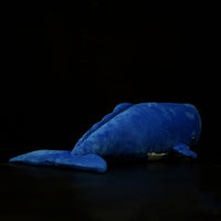 Cute sperm whale plush toy

