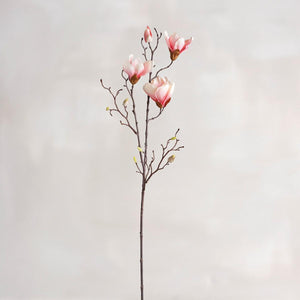 Magnolia rose - Cueillette à longue tige