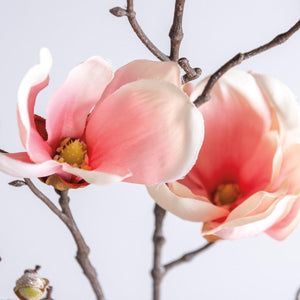 Pink Magnolia - Long Stem Pick