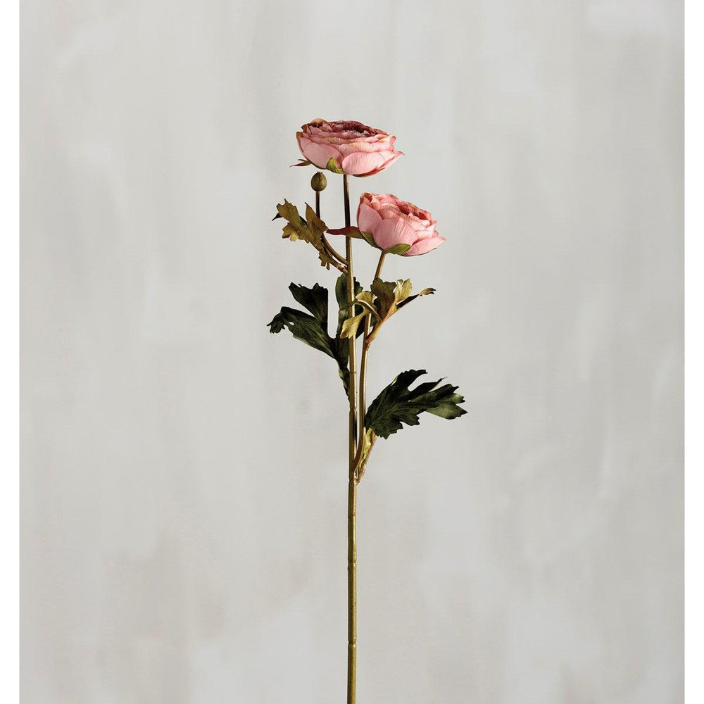 Pink Ranunculus - Long Stem Pick