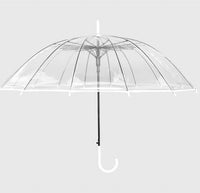 Parapluie Transparent
