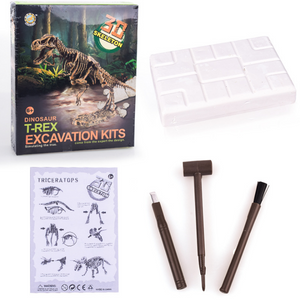 Kits d'excavation de dinosaures