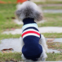 Suéteres para perros
