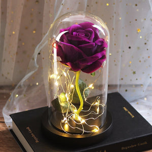 Fête des mères faveurs de mariage cadeau de demoiselle d'honneur Simulation immortelle couvercle en verre Rose ornement Led lumineux