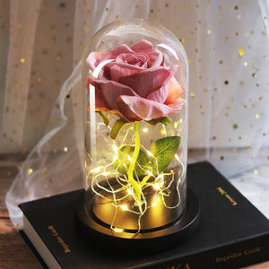 Fête des mères faveurs de mariage cadeau de demoiselle d'honneur Simulation immortelle couvercle en verre Rose ornement Led lumineux