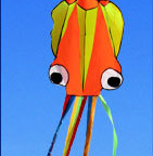 Octopus Kite
