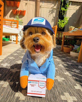 Mail Carrier Pet Costumes
