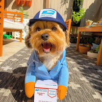 Mail Carrier Pet Costumes