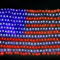 Luces de red LED con bandera de Estados Unidos