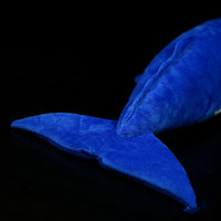 Cute sperm whale plush toy
