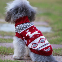 Suéteres para perros