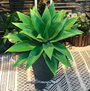 Artificial Tropical Agave Plant