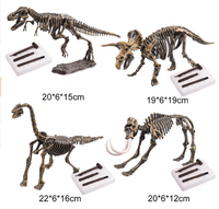 Kits d'excavation de dinosaures
