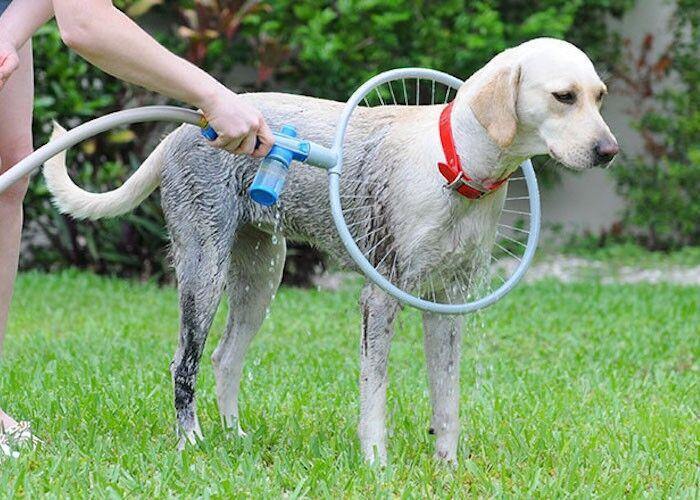 The 360 degree Dog Washer Ring