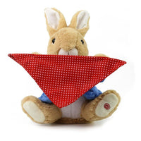Peter Rabbit Peek-a-boo Plush Toy