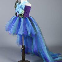 Mardi Gras Peacock Dresses