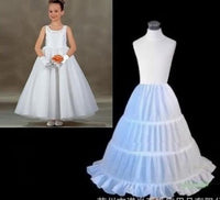Princess Sophia Costume Dress and Accessories (Child)
