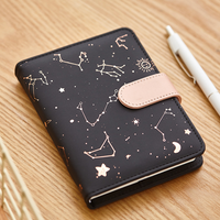 Diarios de cuadernos de constelaciones
