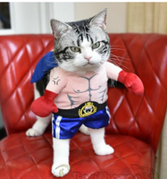 Disfraz de boxeador para mascota

