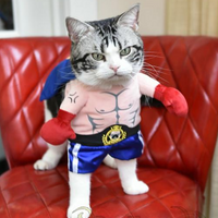 Disfraz de boxeador para mascota