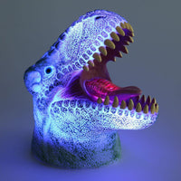Color Changing 3D Dinosaur Lamp
