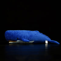 Cute sperm whale plush toy