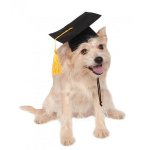 Chapeau de remise des diplômes pour chien