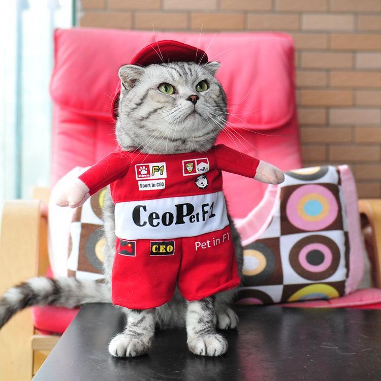 Pet Halloween Costumes