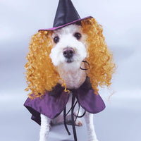 Witch Purple Pet Costume