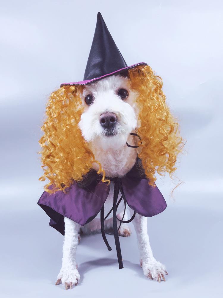 Witch Purple Pet Costume