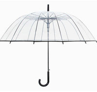 Parapluie Transparent
