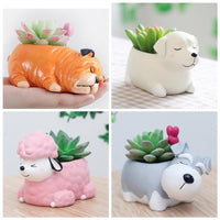 Cartoon Dog Planters for Succulents
